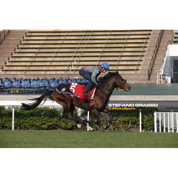 Yutaka Take on Tokei Halo Morning worksout at Sha Tin Hong Kong,4th dec.2013 ph.Stefano Grasso
