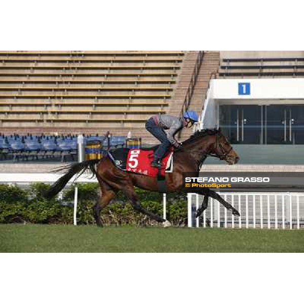 Yutaka Take on Tokei Halo Morning worksout at Sha Tin Hong Kong,4th dec.2013 ph.Stefano Grasso