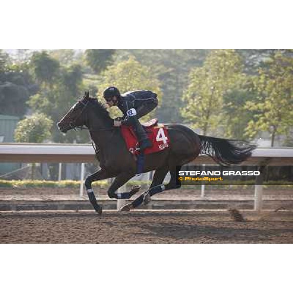Andrasch Starke on Neatico Morning worksout at Sha Tin Hong Kong,4th dec.2013 ph.Stefano Grasso
