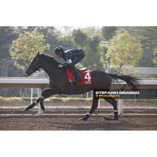 Andrasch Starke on Neatico Morning worksout at Sha Tin Hong Kong,4th dec.2013 ph.Stefano Grasso