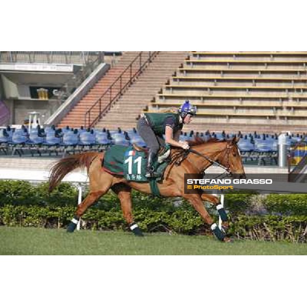 Ebiyza Morning worksout at Sha Tin Hong Kong,4th dec.2013 ph.Stefano Grasso