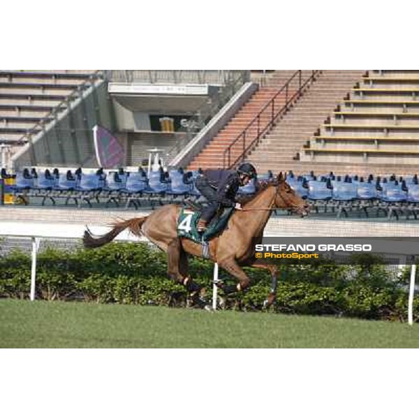 Andrea Atzeni on Seismos Morning worksout at Sha Tin Hong Kong,4th dec.2013 ph.Stefano Grasso