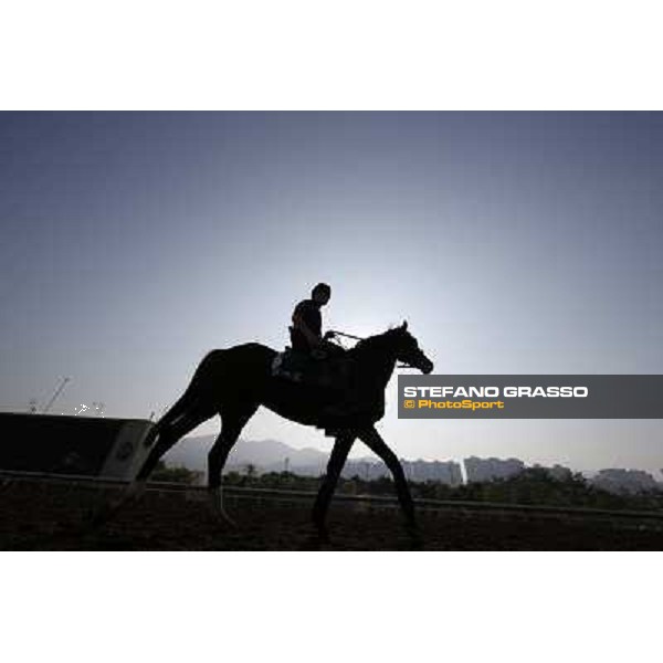 Morning worksout at Sha Tin Hong Kong,4th dec.2013 ph.Stefano Grasso