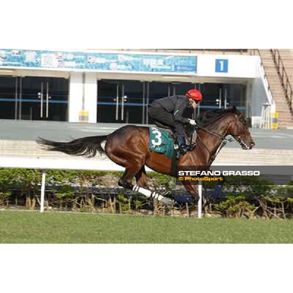 morning workout - Mount Athos Hong Kong,Sha Tin racecourse,5th dec.2013 ph.Stefano Grasso