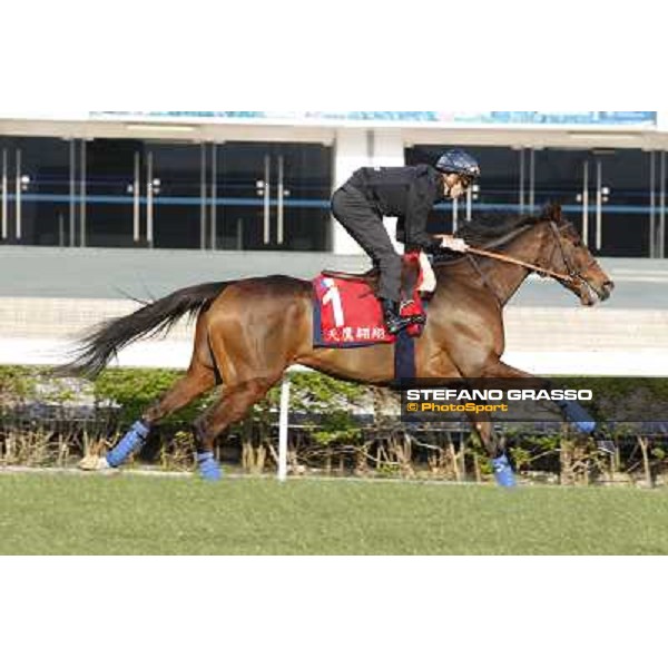 morning workout - Soumillon on Cirrus des Aigles Hong Kong,Sha Tin racecourse,5th dec.2013 ph.Stefano Grasso