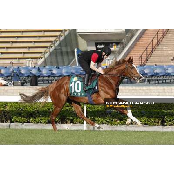 morning workout - Galileo Rock Hong Kong,Sha Tin racecourse,5th dec.2013 ph.Stefano Grasso