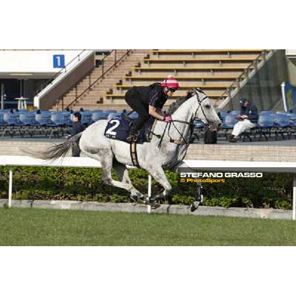 morning workout - Linton Hong Kong,Sha Tin racecourse,5th dec.2013 ph.Stefano Grasso