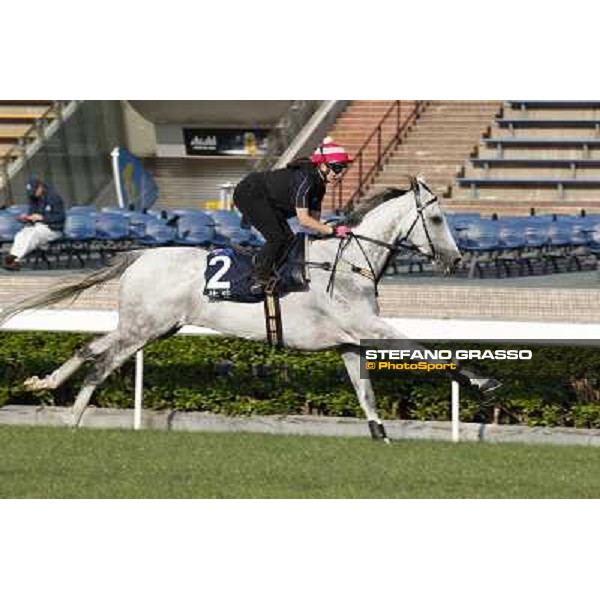 morning workout - Linton Hong Kong,Sha Tin racecourse,5th dec.2013 ph.Stefano Grasso