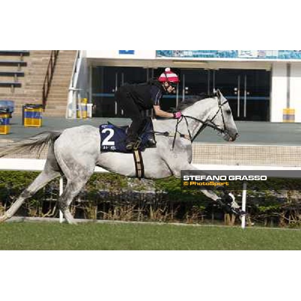 morning workout - Linton Hong Kong,Sha Tin racecourse,5th dec.2013 ph.Stefano Grasso