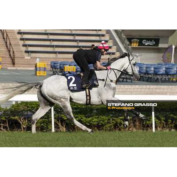 morning workout - Linton Hong Kong,Sha Tin racecourse,5th dec.2013 ph.Stefano Grasso
