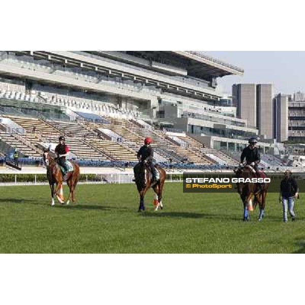 morning workout - Galileo Rock,Mount Athos and Cirrus des Aigles Hong Kong,Sha Tin racecourse,5th dec.2013 ph.Stefano Grasso
