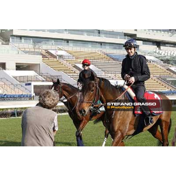 morning workout - Cirrus des Aigles Hong Kong,Sha Tin racecourse,5th dec.2013 ph.Stefano Grasso