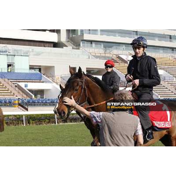 morning workout - Cirrus des Aigles Hong Kong,Sha Tin racecourse,5th dec.2013 ph.Stefano Grasso