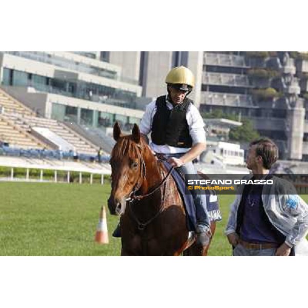 morning workout - Shamalgan Hong Kong,Sha Tin racecourse,5th dec.2013 ph.Stefano Grasso