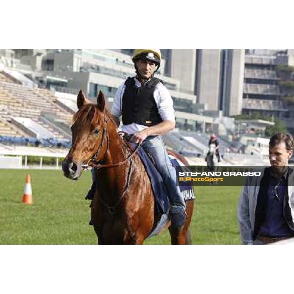 morning workout - Shamalgan Hong Kong,Sha Tin racecourse,5th dec.2013 ph.Stefano Grasso