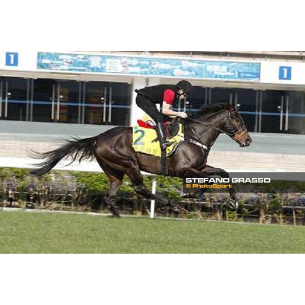 morning workout - Slade Power Hong Kong,Sha Tin racecourse,5th dec.2013 ph.Stefano Grasso