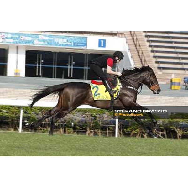 morning workout - Slade Power Hong Kong,Sha Tin racecourse,5th dec.2013 ph.Stefano Grasso