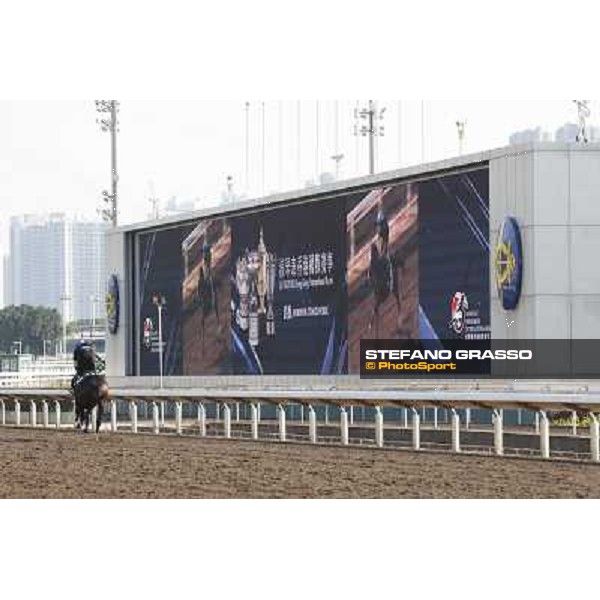 morning workout - Simenon Hong Kong,Sha Tin racecourse,5th dec.2013 ph.Stefano Grasso
