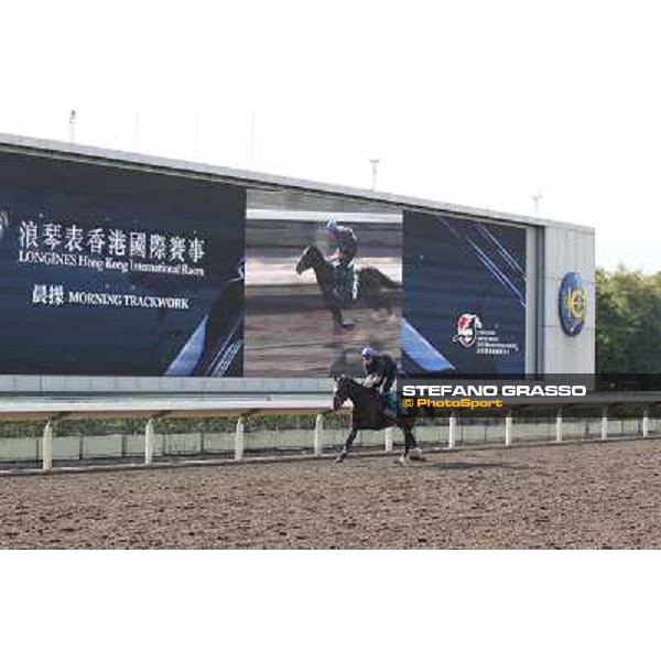 morning workout - Simenon Hong Kong,Sha Tin racecourse,5th dec.2013 ph.Stefano Grasso