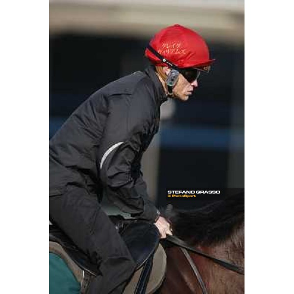 morning workout - Mount Athos Hong Kong,Sha Tin racecourse,5th dec.2013 ph.Stefano Grasso