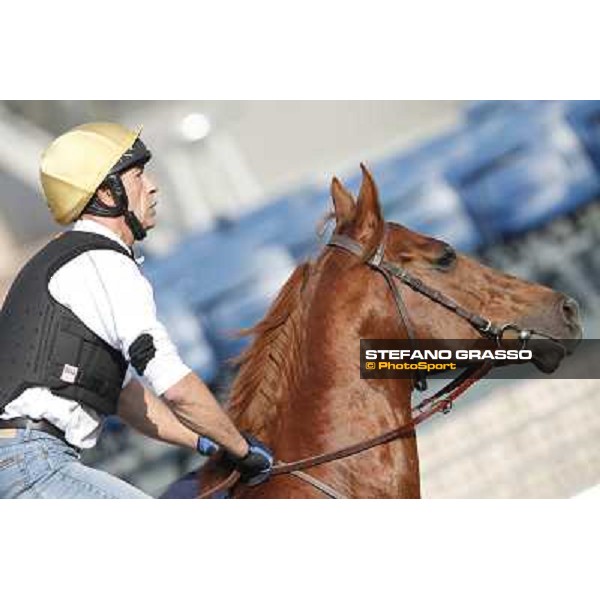 morning workout - King Kreesa Hong Kong,Sha Tin racecourse,5th dec.2013 ph.Stefano Grasso