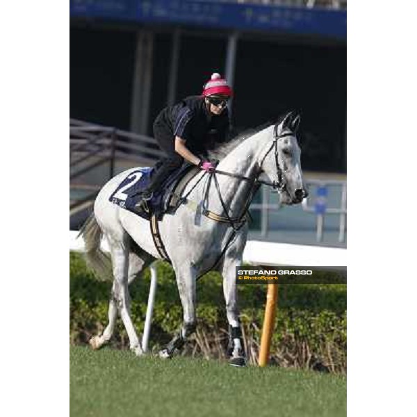 morning workout - Linton Hong Kong,Sha Tin racecourse,5th dec.2013 ph.Stefano Grasso