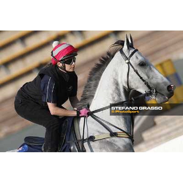 morning workout - Linton Hong Kong,Sha Tin racecourse,5th dec.2013 ph.Stefano Grasso