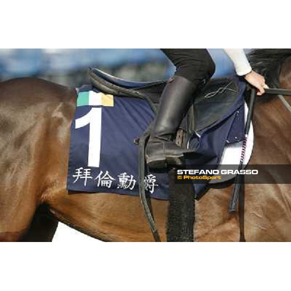 morning workout - Gordon Lord Byron Hong Kong,Sha Tin racecourse,5th dec.2013 ph.Stefano Grasso