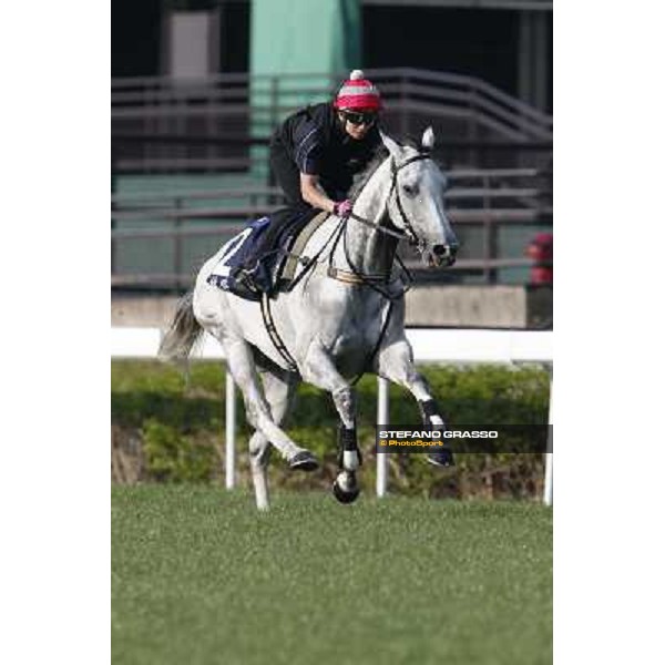 morning workout - Linton Hong Kong,Sha Tin racecourse,5th dec.2013 ph.Stefano Grasso