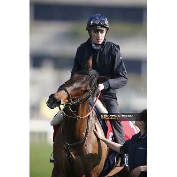 morning workout - Soumillon on Cirrus des Aigles Hong Kong,Sha Tin racecourse,5th dec.2013 ph.Stefano Grasso
