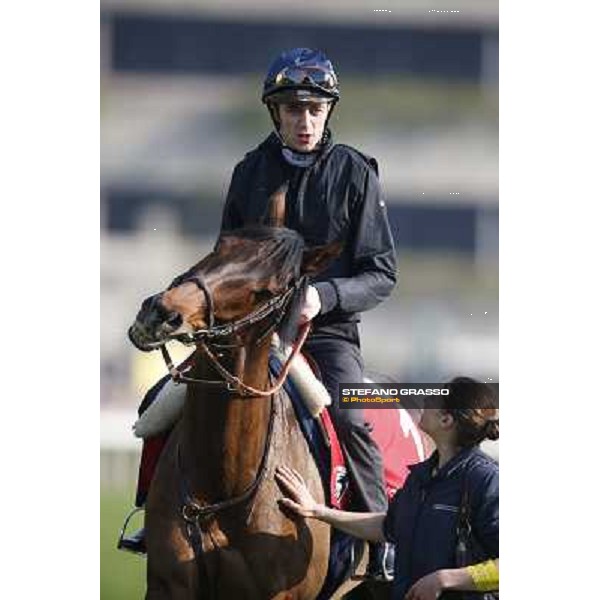 morning workout - Soumillon on Cirrus des Aigles Hong Kong,Sha Tin racecourse,5th dec.2013 ph.Stefano Grasso