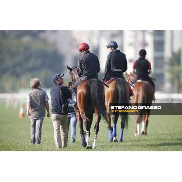 morning workout - Soumillon on Cirrus des Aigles and Month Athos Hong Kong,Sha Tin racecourse,5th dec.2013 ph.Stefano Grasso