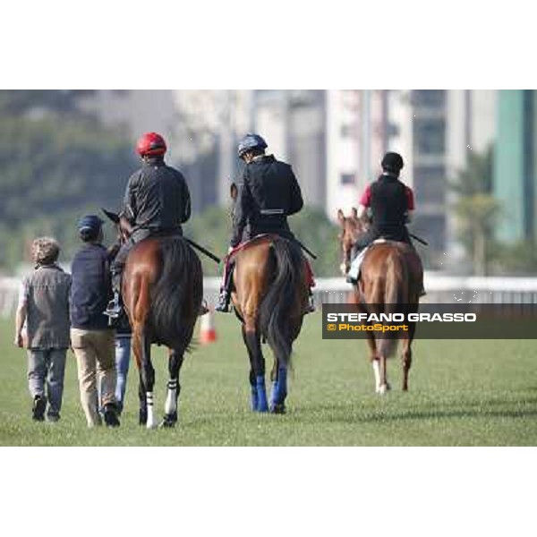 morning workout - Soumillon on Cirrus des Aigles and Month Athos Hong Kong,Sha Tin racecourse,5th dec.2013 ph.Stefano Grasso