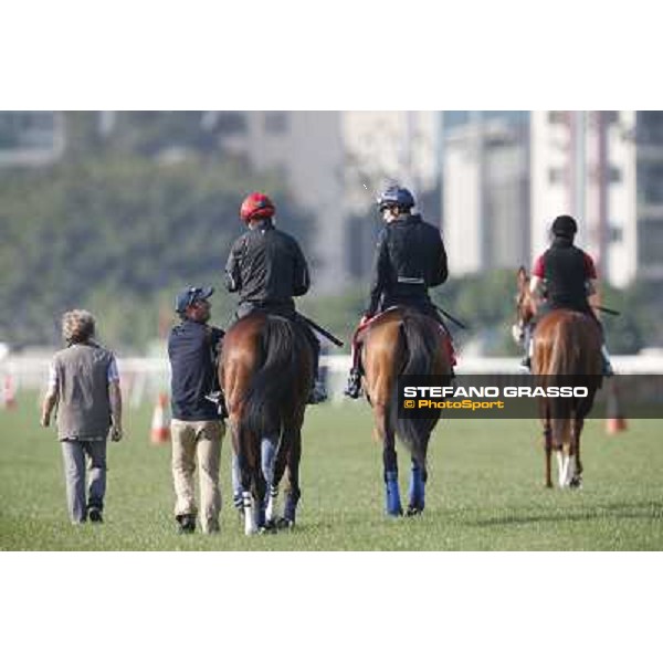 morning workout - Soumillon on Cirrus des Aigles and Month Athos Hong Kong,Sha Tin racecourse,5th dec.2013 ph.Stefano Grasso