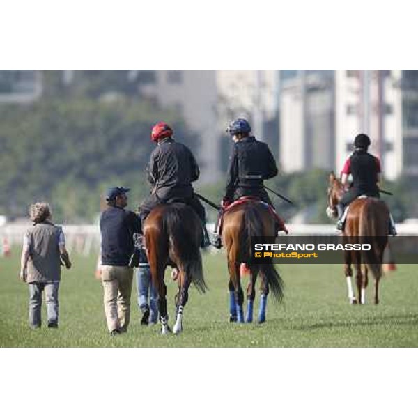 morning workout - Soumillon on Cirrus des Aigles and Month Athos Hong Kong,Sha Tin racecourse,5th dec.2013 ph.Stefano Grasso