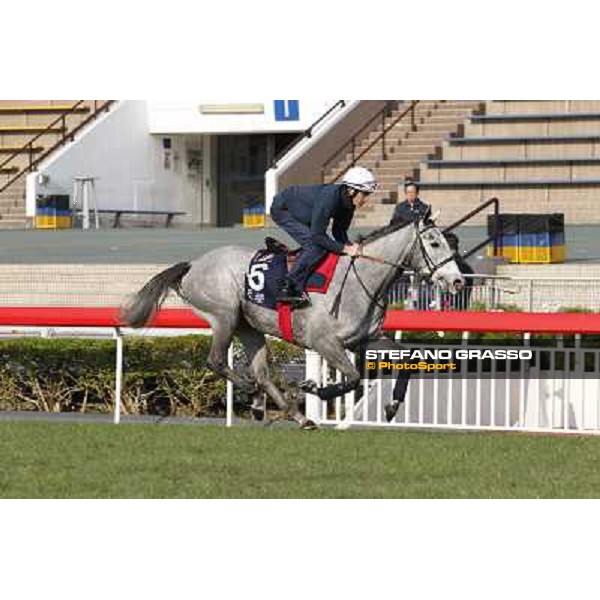morning worksout - Richard Hughes on Sky Lantern Hong Kong,Sha Tin racecourse,6th dec.2013 ph.Stefano Grasso