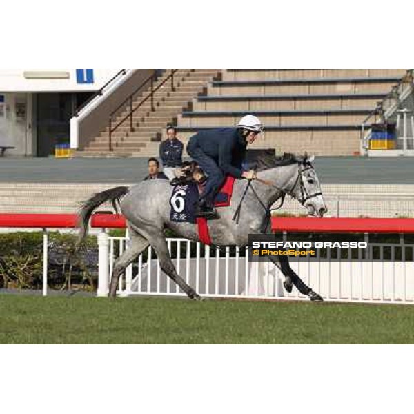 morning worksout - Richard Hughes on Sky Lantern Hong Kong,Sha Tin racecourse,6th dec.2013 ph.Stefano Grasso