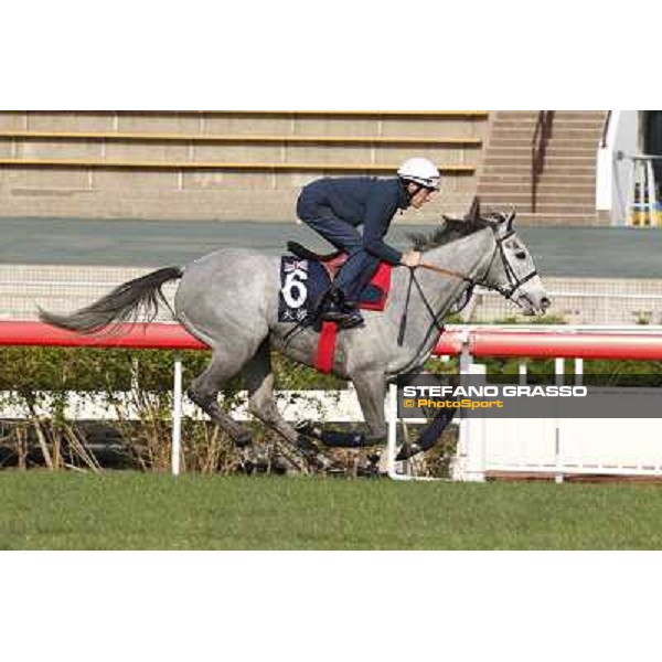 morning worksout - Richard Hughes on Sky Lantern Hong Kong,Sha Tin racecourse,6th dec.2013 ph.Stefano Grasso