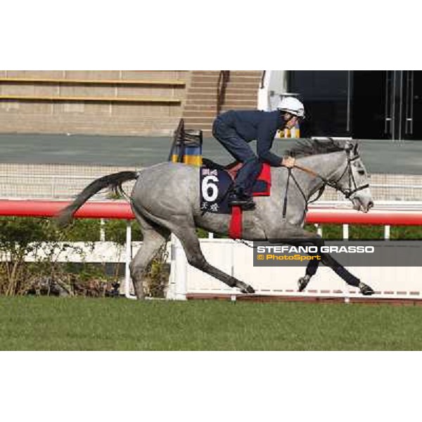 morning worksout - Richard Hughes on Sky Lantern Hong Kong,Sha Tin racecourse,6th dec.2013 ph.Stefano Grasso