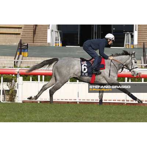 morning worksout - Richard Hughes on Sky Lantern Hong Kong,Sha Tin racecourse,6th dec.2013 ph.Stefano Grasso