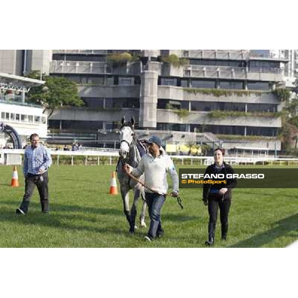 morning worksout - Sky Lantern Hong Kong,Sha Tin racecourse,6th dec.2013 ph.Stefano Grasso
