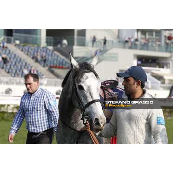 morning worksout - Sky Lantern Hong Kong,Sha Tin racecourse,6th dec.2013 ph.Stefano Grasso
