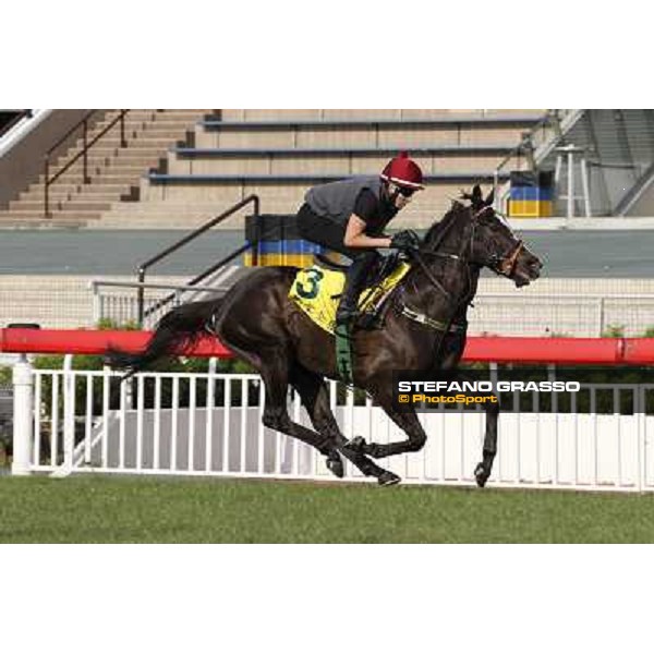 morning worksout - Sole Power Hong Kong,Sha Tin racecourse,6th dec.2013 ph.Stefano Grasso