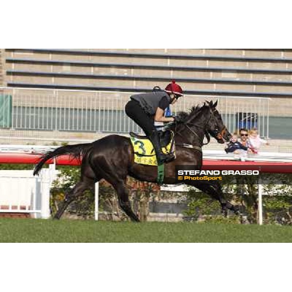morning worksout - Sole Power Hong Kong,Sha Tin racecourse,6th dec.2013 ph.Stefano Grasso