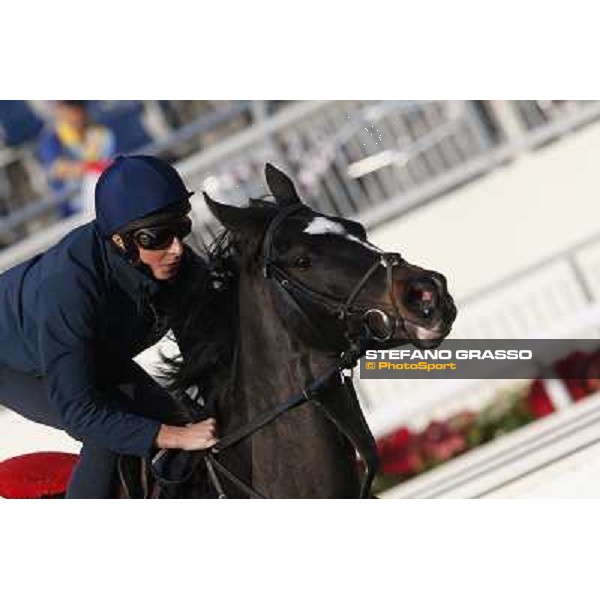 morning worksout - The Fugue Hong Kong,Sha Tin racecourse,6th dec.2013 ph.Stefano Grasso
