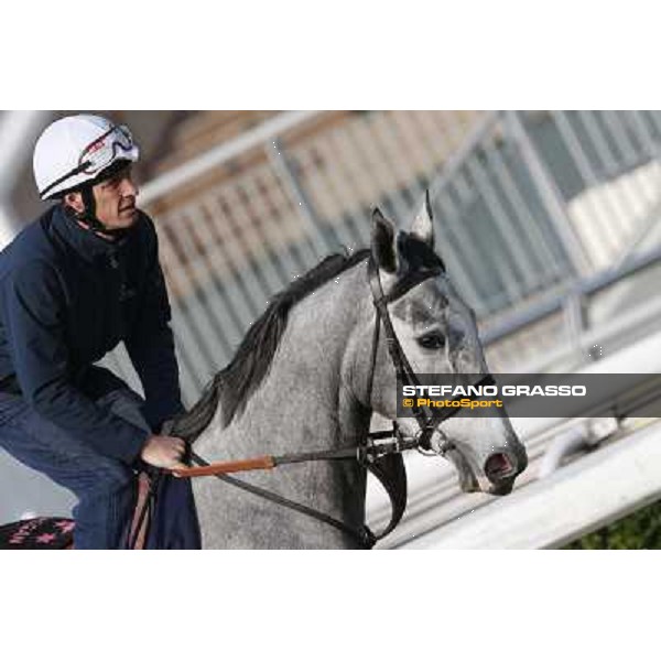 morning worksout - Richard Hughes on Sky Lantern Hong Kong,Sha Tin racecourse,6th dec.2013 ph.Stefano Grasso