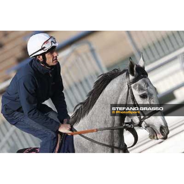 morning worksout - Richard Hughes on Sky Lantern Hong Kong,Sha Tin racecourse,6th dec.2013 ph.Stefano Grasso