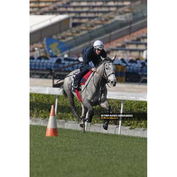 morning worksout - Richard Hughes on Sky Lantern Hong Kong,Sha Tin racecourse,6th dec.2013 ph.Stefano Grasso