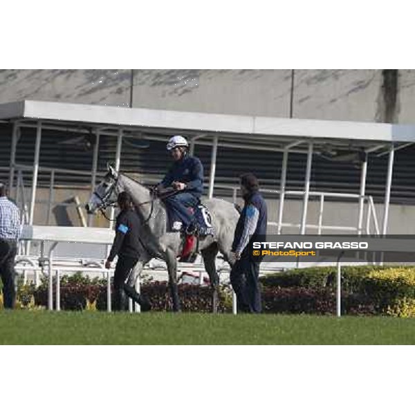 morning worksout - Richard Hannon jr with Richard Hughes and Sky Lantern Hong Kong,Sha Tin racecourse,6th dec.2013 ph.Stefano Grasso