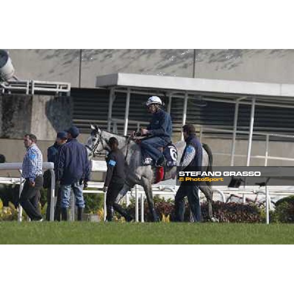 morning worksout - Richard Hannon jr with Richard Hughes and Sky Lantern Hong Kong,Sha Tin racecourse,6th dec.2013 ph.Stefano Grasso